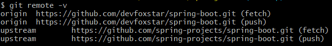 git remote -v